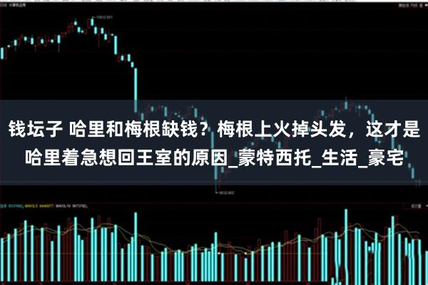 钱坛子 哈里和梅根缺钱？梅根上火掉头发，这才是哈里着急想回王室的原因_蒙特西托_生活_豪宅