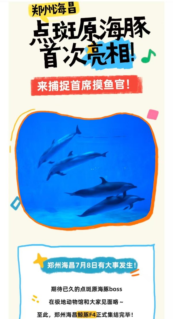 典丰投资 前职工称郑州知名海洋公园长期给海豚用镇静药物，还疑治疗不当致狼崽死亡，多方回应
