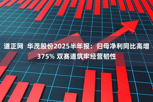 道正网  华茂股份2025半年报：归母净利同比高增375% 双赛道筑牢经营韧性