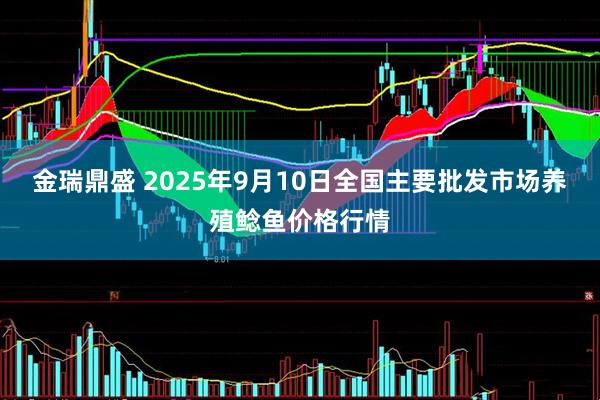金瑞鼎盛 2025年9月10日全国主要批发市场养殖鲶鱼价格行情