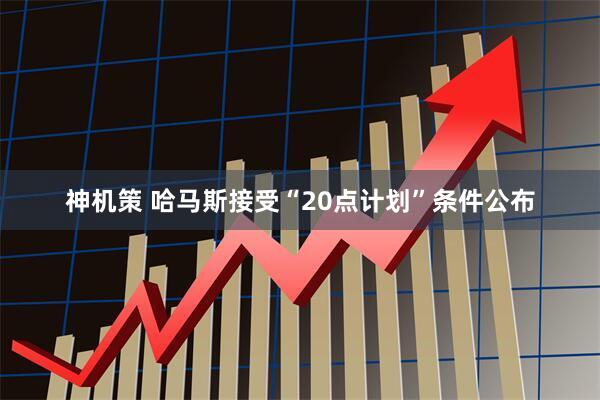 神机策 哈马斯接受“20点计划”条件公布