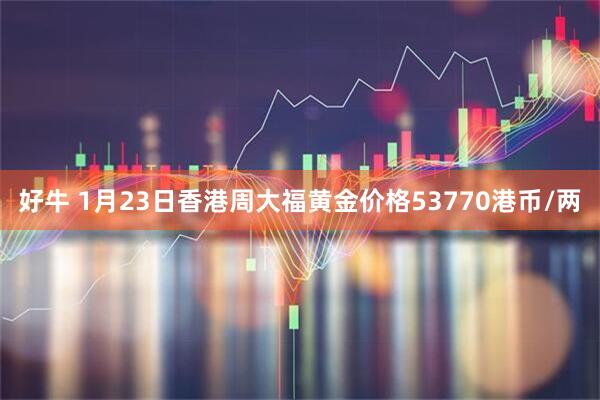 好牛 1月23日香港周大福黄金价格53770港币/两
